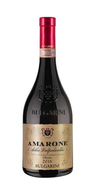 Bulgarini Amarone della Valpolicella - 2016